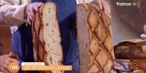 telematin-levain-naturel